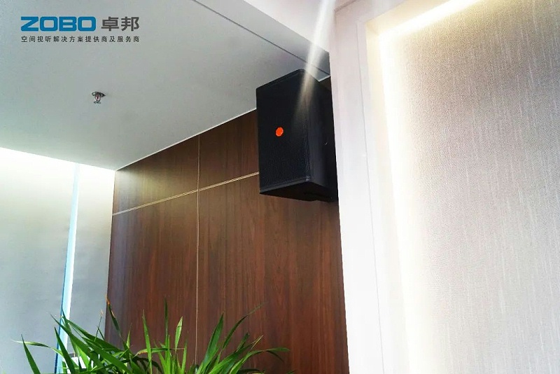 蘑菇蘑菇视频APP下载设备和会议扬声器系统安装的要点
