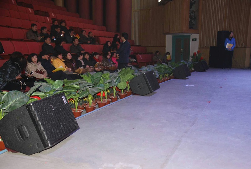 蘑菇蘑菇视频APP下载设备在舞台演出中的运用